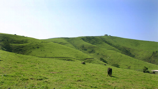 赤ハゲ山